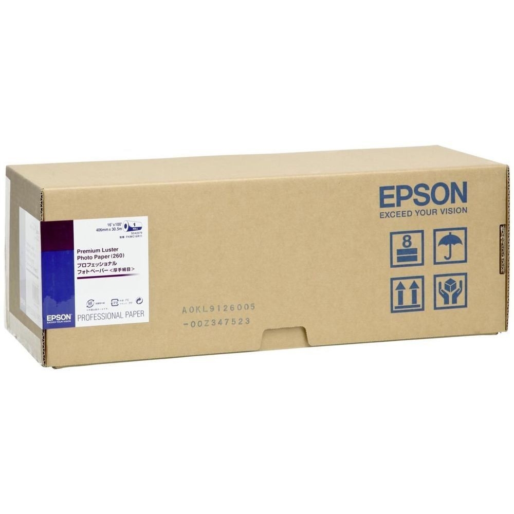 Original Epson S042079 260gsm 16in x 100ft Photo Paper Roll (C13S042079)